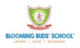 Blooming Buds' School